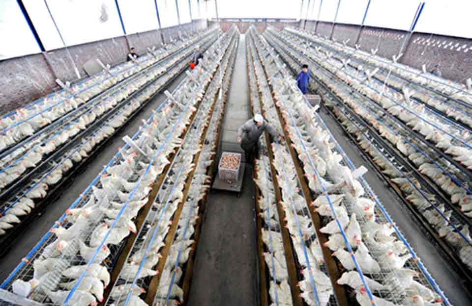 1445412513112493.jpg W020120807336359205278.jpg